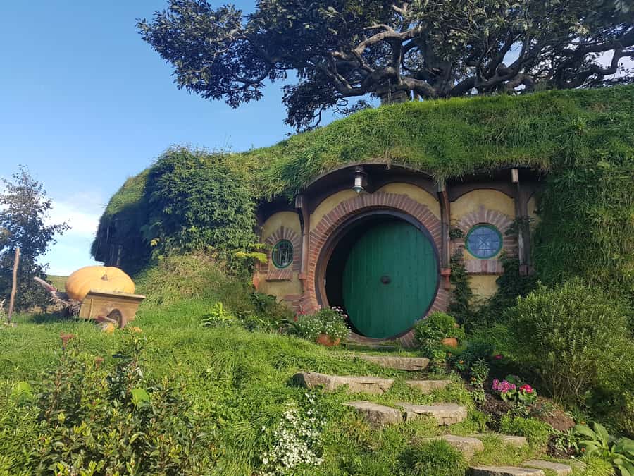 From Auckland: Hobbiton & Rotorua Tour with Lunch at Te Puia - Waikato and Bay of Plenty views: what you are doing between the headline stops