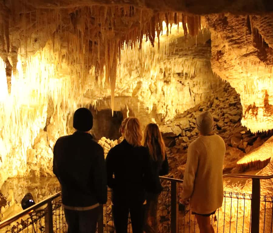 From Auckland: Hobbiton & Waitomo Caves Full-Day Trip - Who this tour fits best