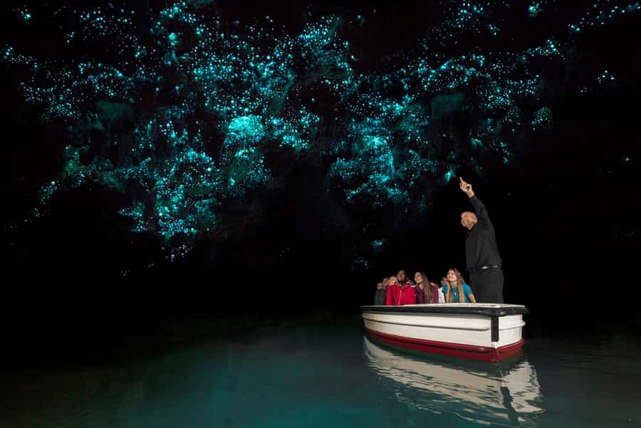 From Auckland: Hobbiton & Waitomo Caves Full-Day Trip - The 2-hour Kaimai Range drive: where the day really starts