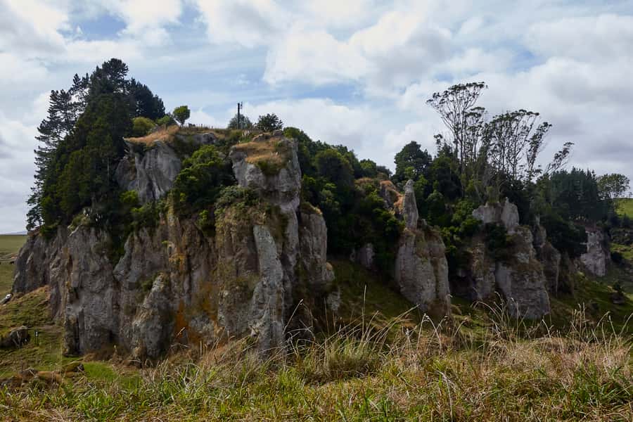 From Auckland or Rotorua: Hobbiton & Waitomo Tour with Lunch - Price and Value at $286 Per Person: What You Actually Get