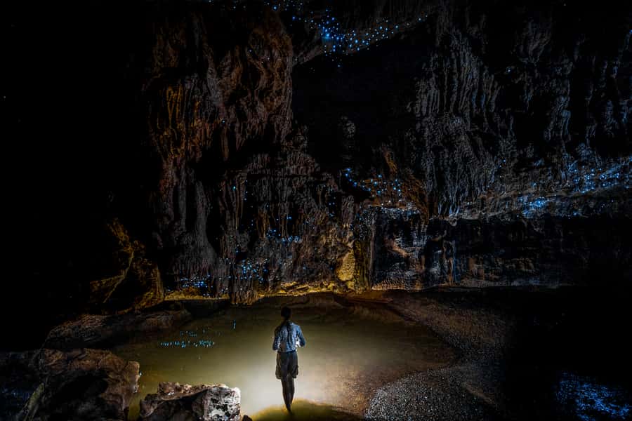 From Auckland or Rotorua: Hobbiton & Waitomo Tour with Lunch - Free Pickup in Central Auckland, and Why It Changes the Whole Day