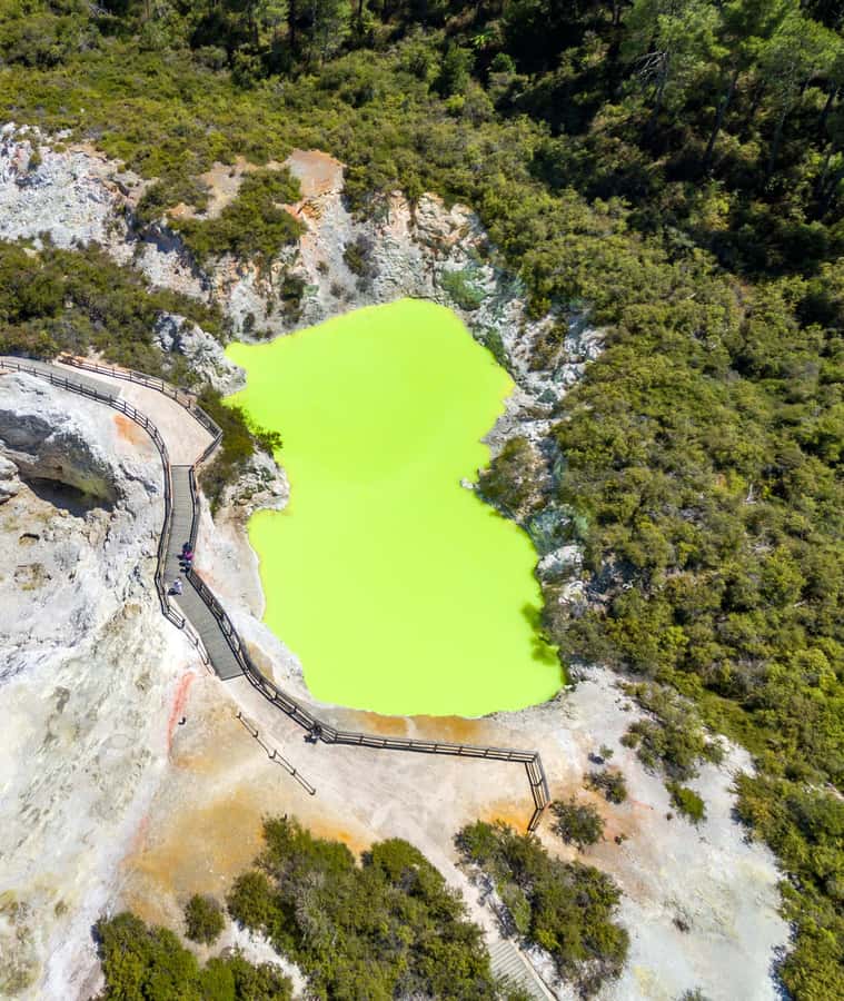 From Auckland: Rotorua Māori Village & Activity Combinations - Price and value: is about $194 per person fair for a 12-hour day?