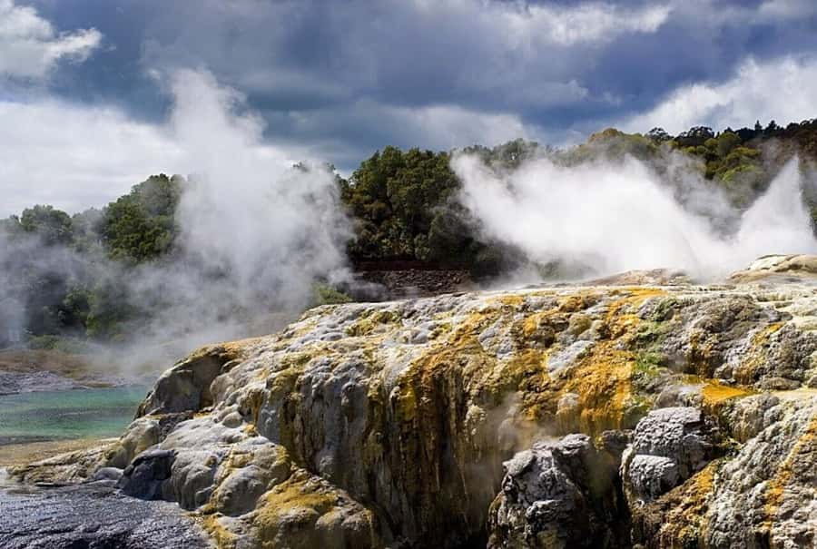 From Auckland: Rotorua Māori Village & Hot Springs with Haka - From Auckland: the real rhythm of a 12-hour Rotorua day trip