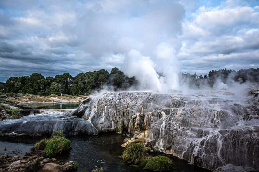 From Auckland: Rotorua Te Puia, Haka & Polynesian Spa Tour - Te Puia geothermal park: Pohutu’s daily eruptions and guided sense-making
