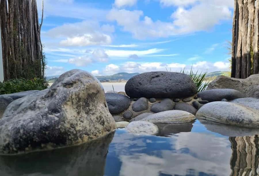 From Auckland: Rotorua Te Puia, Haka & Polynesian Spa Tour - Price and value: what $236 includes, and what you still need to plan