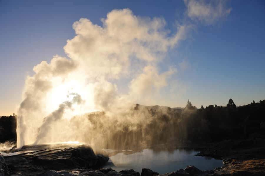 From Auckland: Rotorua Te Puia, Haka & Polynesian Spa Tour - Pickup in Auckland and the pacing of a 12-hour day