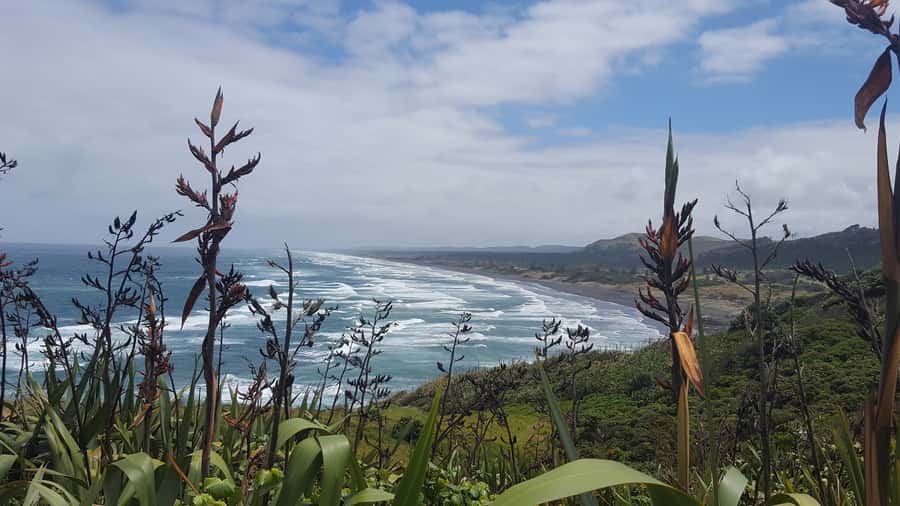 From Auckland: Small Group Kumeu Wine Tour with Lunch - Price and Value for a 5-Hour Small Group
