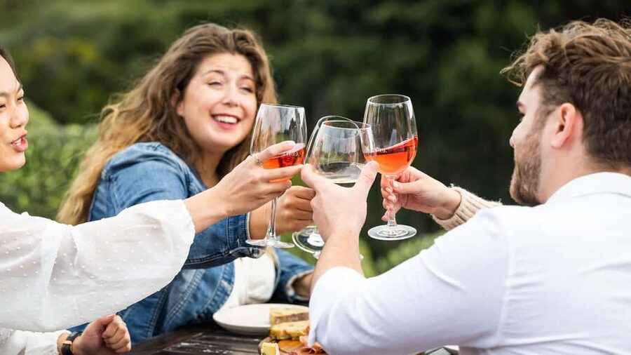 From Auckland: Taste Of Waiheke Island Day Tour - Should You Book the Taste of Waiheke Island Day Tour?