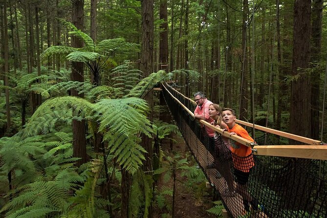 From Auckland to Rotorua Waiotapu and Activity Combinations - Auckland to Rotorua: the long day with a clear plan