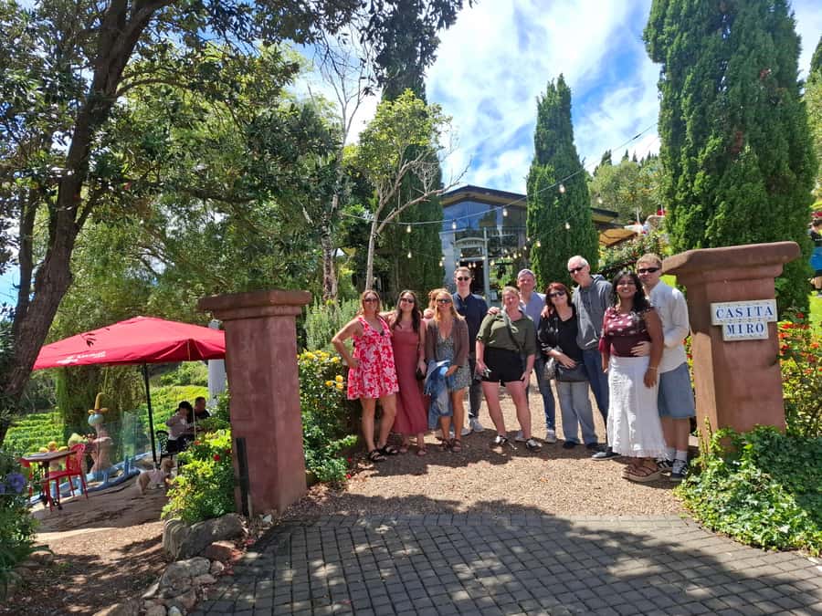 From Auckland: Waiheke Island Sip & Savour Tour with Lunch - Vineyard day, in three parts, with food at the right moments