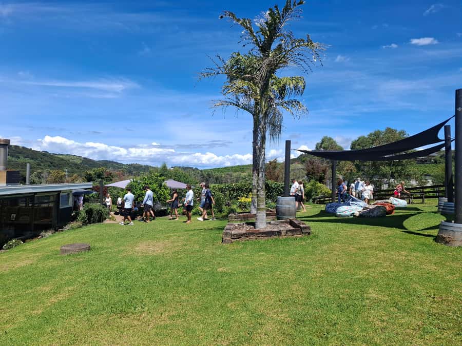 From Auckland: Waiheke Island Sip & Savour Tour with Lunch - Lunch with wine: included, planned, and meant to keep you happy