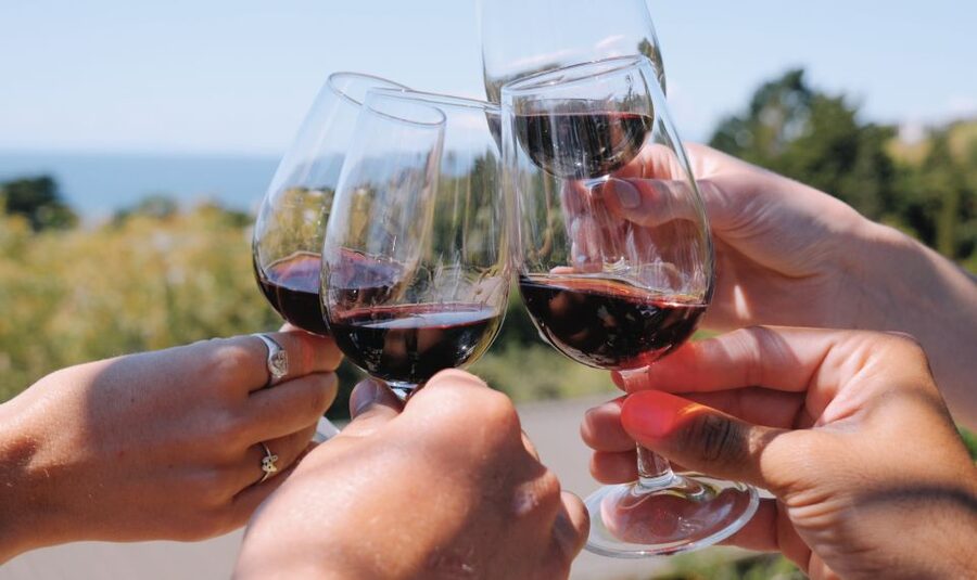 From Auckland: Waiheke Island Wine Cellar Tour - What to expect from the tastings, and how to taste smarter