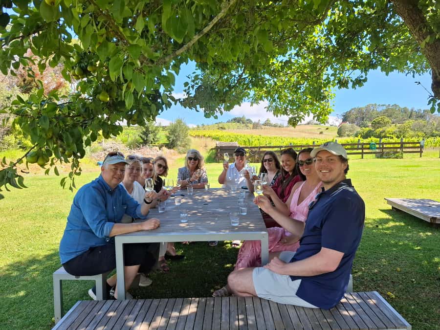 From Auckland: Waiheke Island Wine Cellar Tour - Price and what $122 really buys