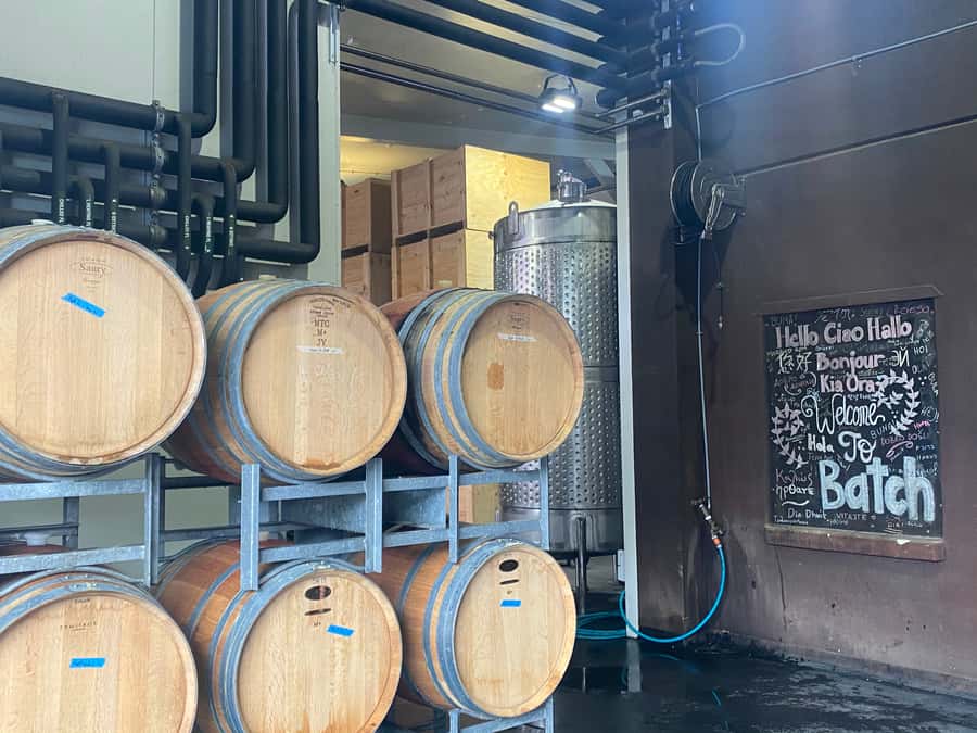 From Auckland: Waiheke Island Wineries' Tour - Who should book this tour, and who might want a different style