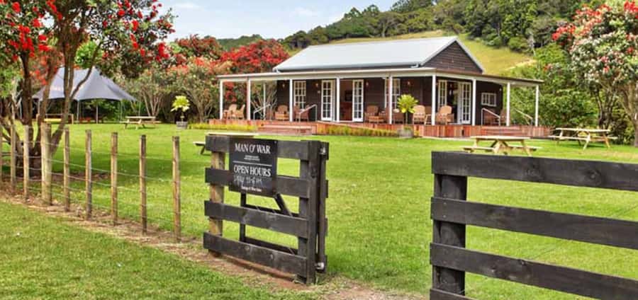From Auckland: Waiheke Island Wineries' Tour - My take: should you book the Enjoi NZ Ltd Waiheke wine tour?