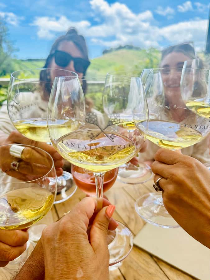 From Auckland: Waiheke Island Wineries' Tour - Winery stops that actually teach you something: tastings at each venue