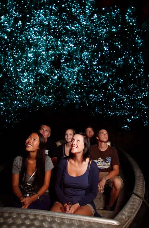 From Auckland: Waitomo Caves and Kiwi House Group Tour - The Ruakuri Caves experience: glowworms, limestone, and a Wahi Tapu spiral
