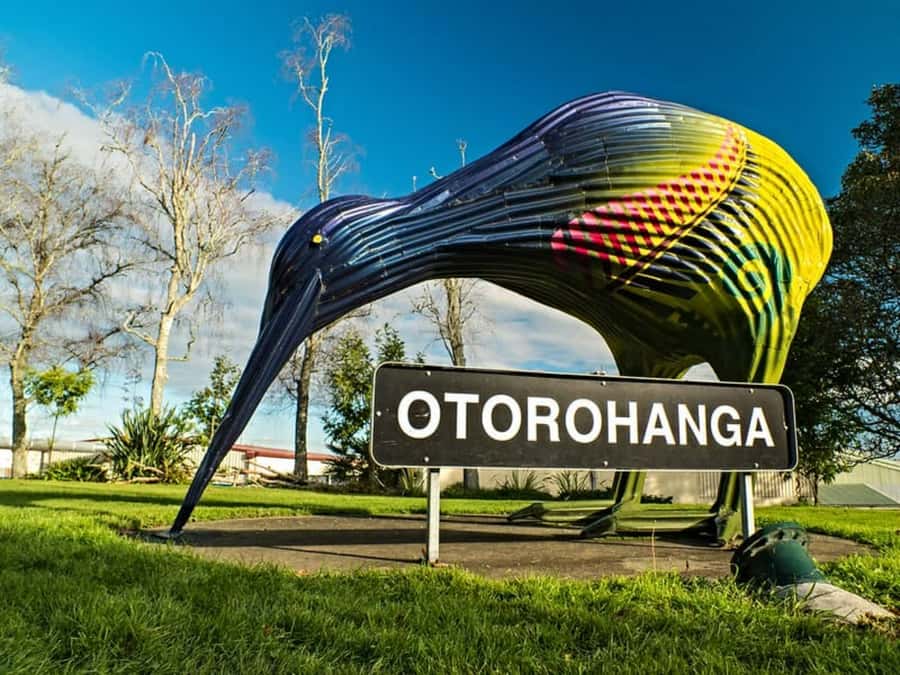 From Auckland: Waitomo Caves and Kiwi House Group Tour - Tuatara and the native wildlife angle: why this stop feels more than cute birds