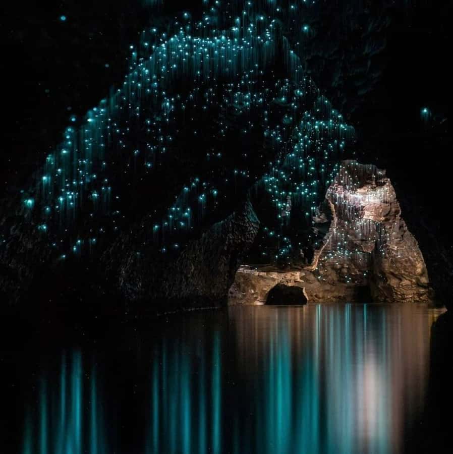 From Auckland: Waitomo Caves and Kiwi House Group Tour - Guided pacing and photo time: how to get the most in 12 hours