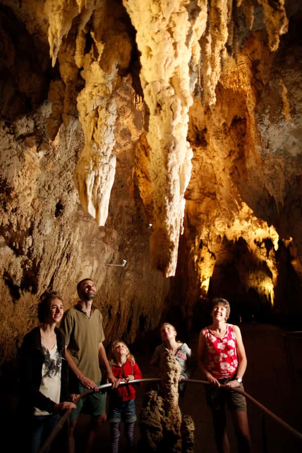 From Auckland: Waitomo Caves and Kiwi House Group Tour - Price and value for $205: what you pay for, and what you still need to budget