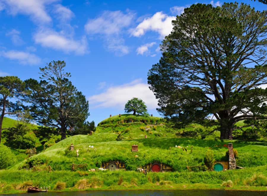 From Auckland: Waitomo & Hobbiton Bus Tour with Lunch - Key highlights before you go