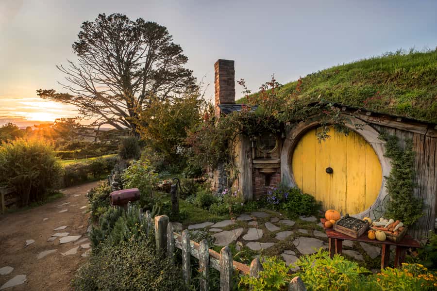 From Auckland: Waitomo & Hobbiton Bus Tour with Lunch - Waitomo Glowworm Caves: limestone tunnels and the Glowworm Grotto boat ride