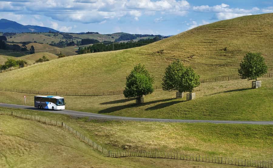 From Auckland: Waitomo & Hobbiton Bus Tour with Lunch - The drive between Waitomo and Hobbiton: why the timing matters