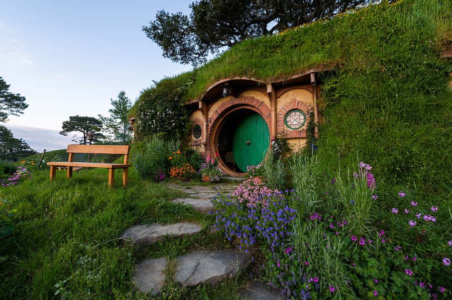 From Matamata: Guided Hobbiton Experience with Bus Transfers - From Matamata pickup to the rural drive: what the first hour feels like