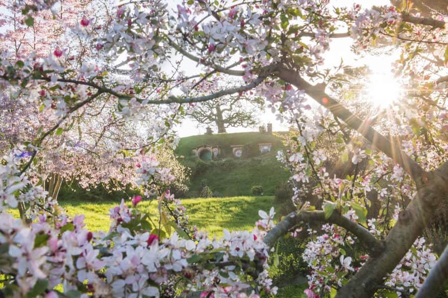 From Matamata: Guided Hobbiton Experience with Bus Transfers - FAQ