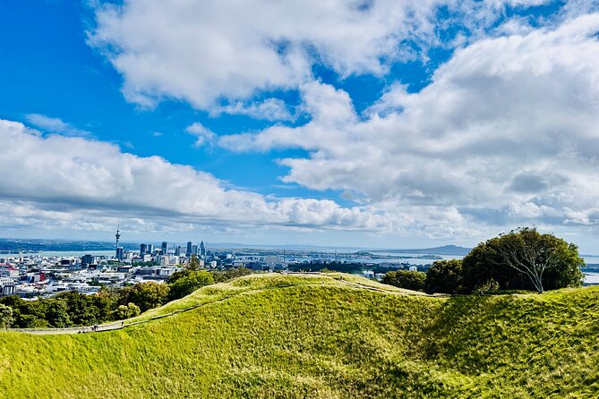 Full-Day Auckland Discovery - Key things to know before you go