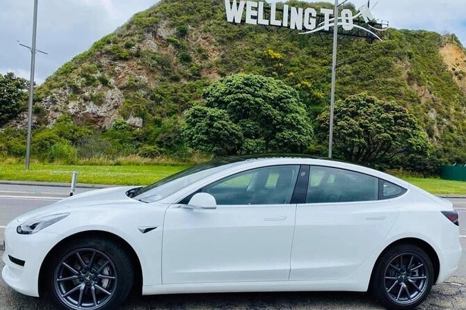Full-Day Driver with Tesla Car-Customisable North Island Tour - Key points before you go