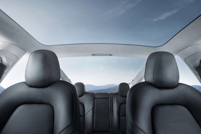 Full-Day Driver with Tesla Car-Customisable North Island Tour - Putaruru Blue Spring: fast, free, and seriously clear water