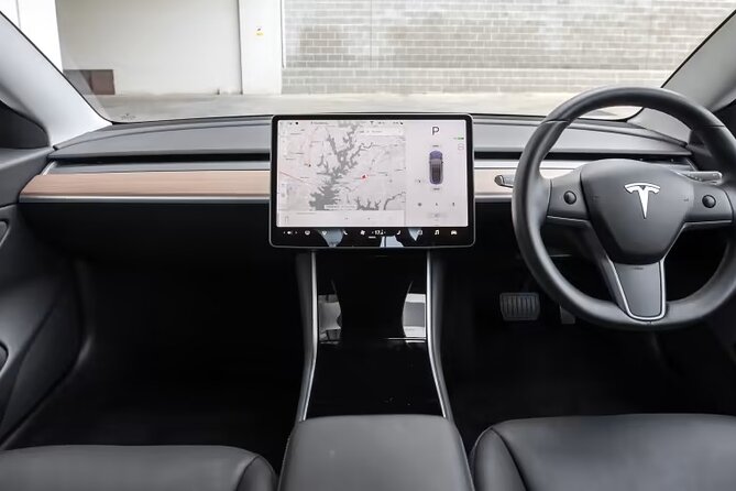 Full-Day Driver with Tesla Car-Customisable North Island Tour - Waitomo Glowworm Caves: worth planning around timing
