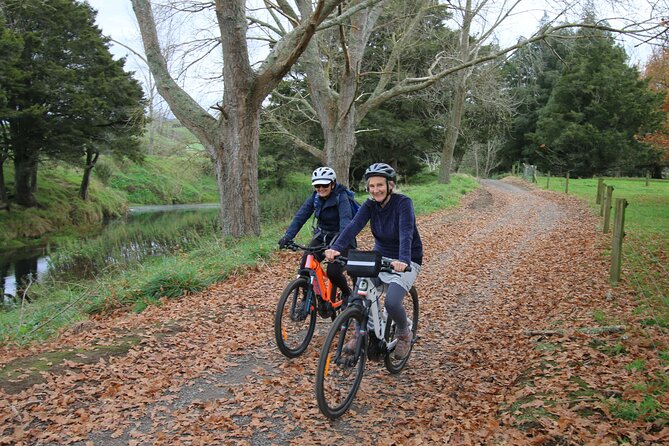 Full Day Ebike Tour in Karangahake Gorge (ex Auckland) - Pickup, custom fitting, and how you get ready to ride