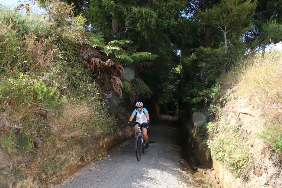 Full Day Ebike Tour - Karangahake Gorge NZ - Why Karangahake Gorge feels like a proper eBike adventure