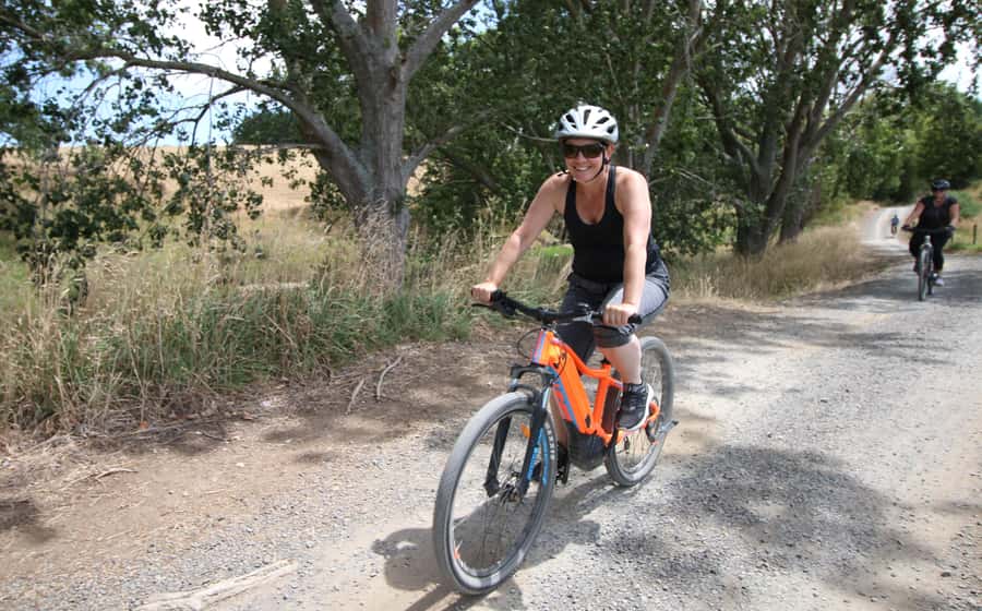 Full Day Ebike Tour - Karangahake Gorge NZ - Waikino to Waihi: morning tea, rail-trail riding, and a gold rush corridor