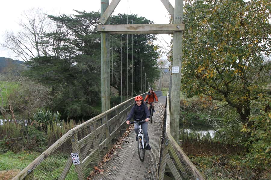 Full Day Ebike Tour - Karangahake Gorge NZ - Victoria Battery: understanding what gold processing looked like