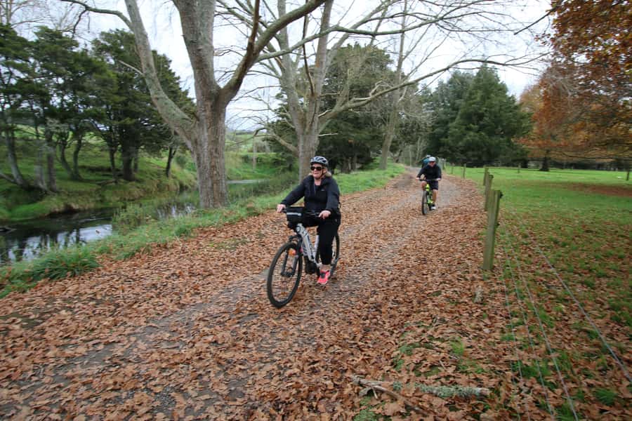 Full Day Ebike Tour - Karangahake Gorge NZ - Waikino to Paeroa: the railway tunnel and over-bridges finale