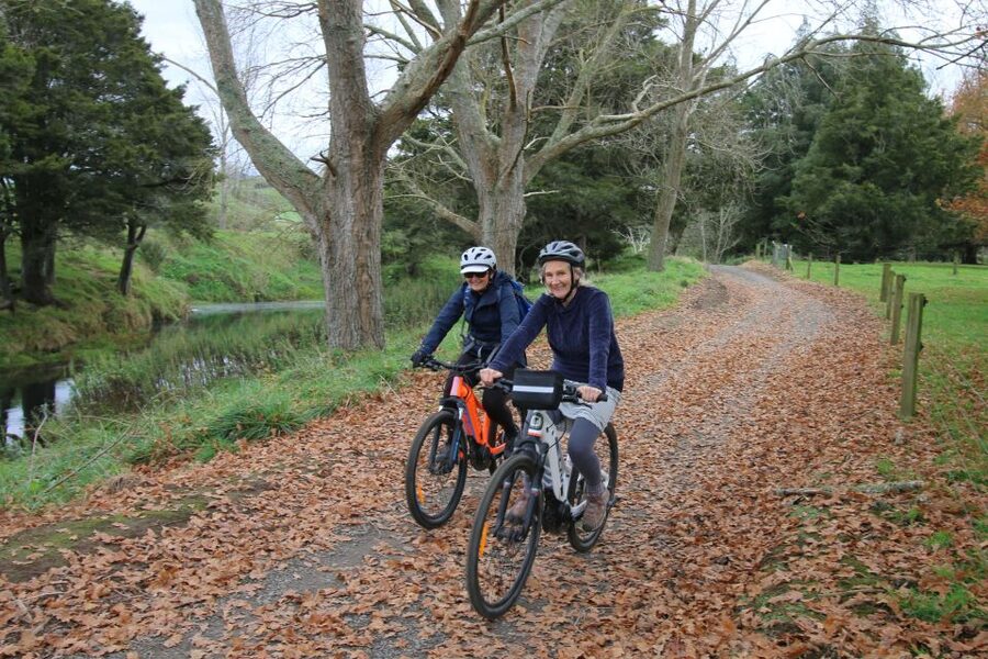Full Day Ebike Tour - Karangahake Gorge NZ - How hard is it really? Grade 1 to 2, beginner friendly, but it is still a full day