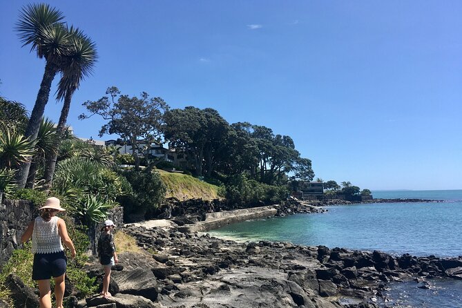 Full-Day Grand Auckland Volcanoes Tour - Volcanoes turn Auckland into a different kind of city tour