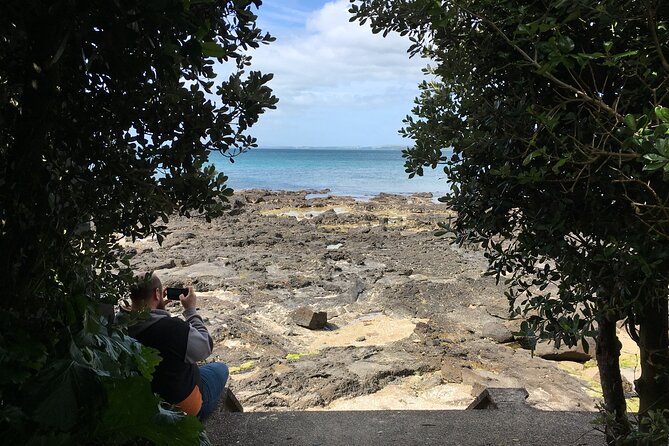 Full-Day Grand Auckland Volcanoes Tour - Price and value: what you get for $179.97