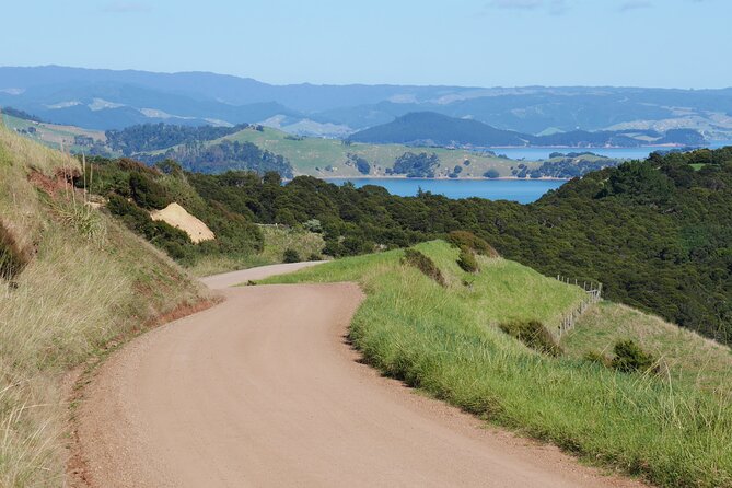 Full Day Private Waiheke Island Wine Tour Including Lunch - Meeting Geoff and rolling out in a Mercedes V250D