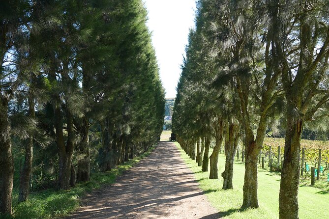 Full Day Private Waiheke Island Wine Tour Including Lunch - Oneroa Beach and the sightseeing rhythm that keeps the day fun