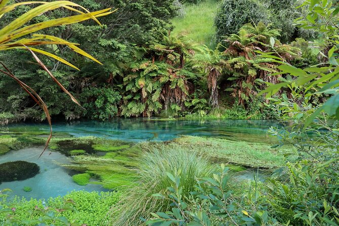 Full-Day Wine Tasting Tour in Auckland with 3-Course Vineyard Lunch - Stop 3 at Westbrook Winery: Ararimu Valley and a boutique New Zealand icon
