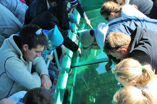 Glass Bottom Boat Tour - Key things to know before you go