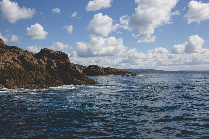 Glass Bottom Boat Tour - What you’ll see around Little Barrier Island