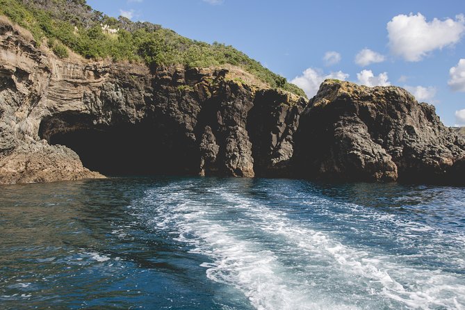 Glass Bottom Boat Tour - Price of $31.83 and whether it’s a smart use of time