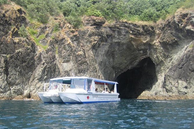 Glass Bottom Boat Tour - First cruising pass: fish, rays, and the reserve’s ever-changing lineup