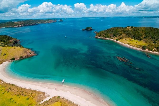 Group tour to Bay of Islands return from Auckland - Guides and group size: small enough for personality