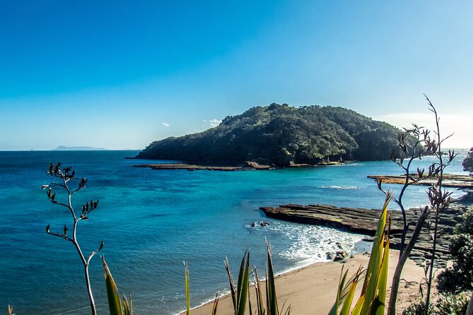 Guided Snorkel Experience, Advanced - What if the sea is rough? How the experience adapts
